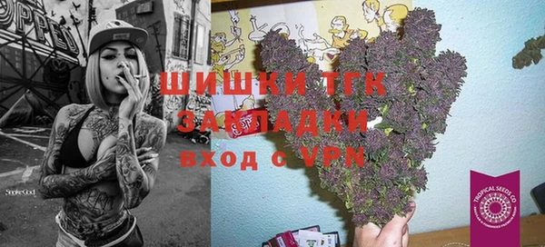 дживик Абинск