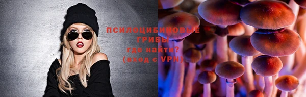 бошки Абдулино