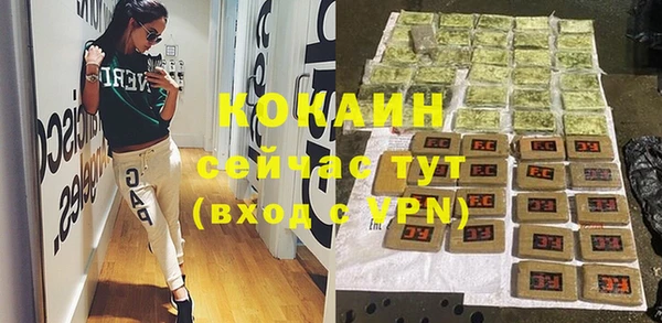 дживик Абинск
