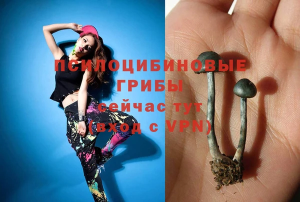 альфа пвп Орск