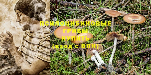 дживик Абинск