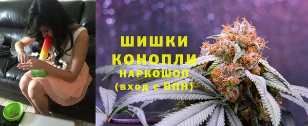 гидра Кулебаки
