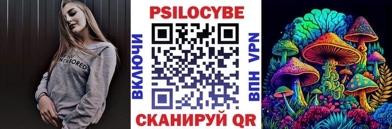 купить наркоту  Кочубеевское  Псилоцибиновые грибы MAGIC MUSHROOMS 
